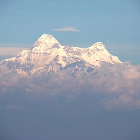 Nest And Hives Motiapathar/Mukteshwar Hotel Exterior photo